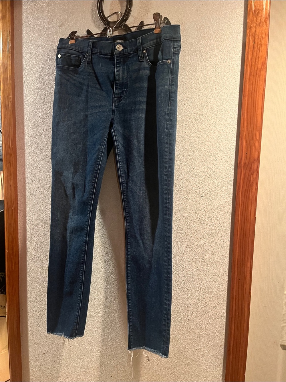 Hudson Jeans Women's Skinny Jeans in Dark Indigo Wash